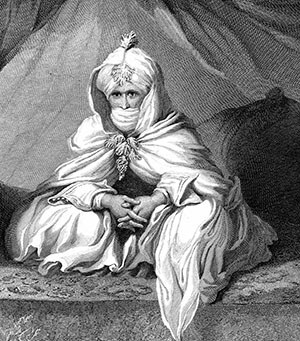 The Sheikh of Bornu