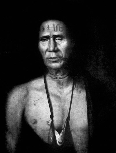 Chief Lappawinsoe of the Delaware Nation