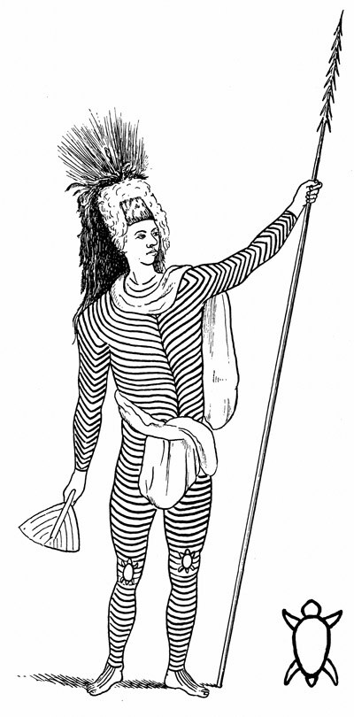 Chief of Rarotonga