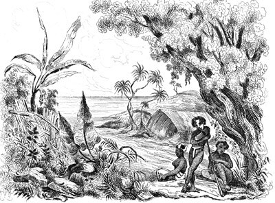 A view on Tanna, Vanuatu